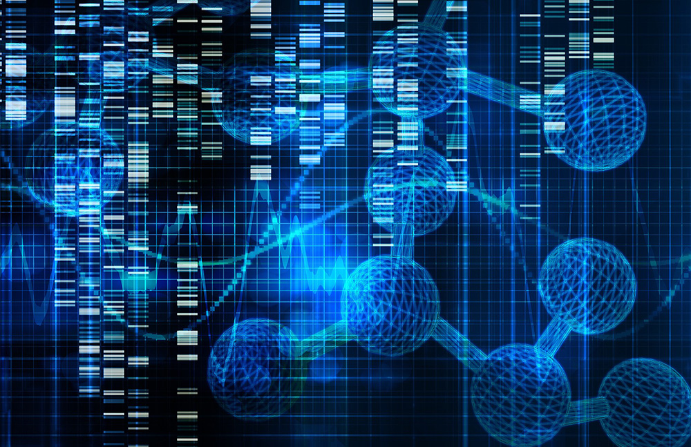 多组学融合数据库OmicsAtlas™ 
