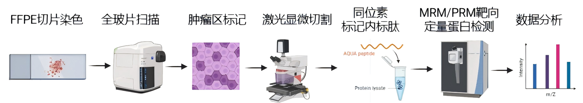 FFPE_workflow_transparent.png